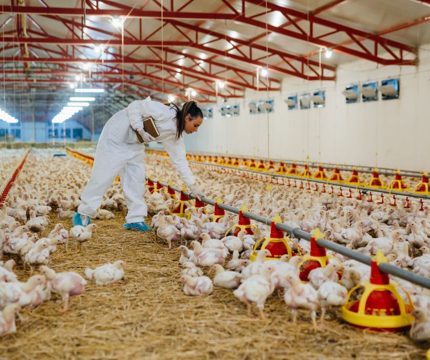 Starlink Internet for Farms