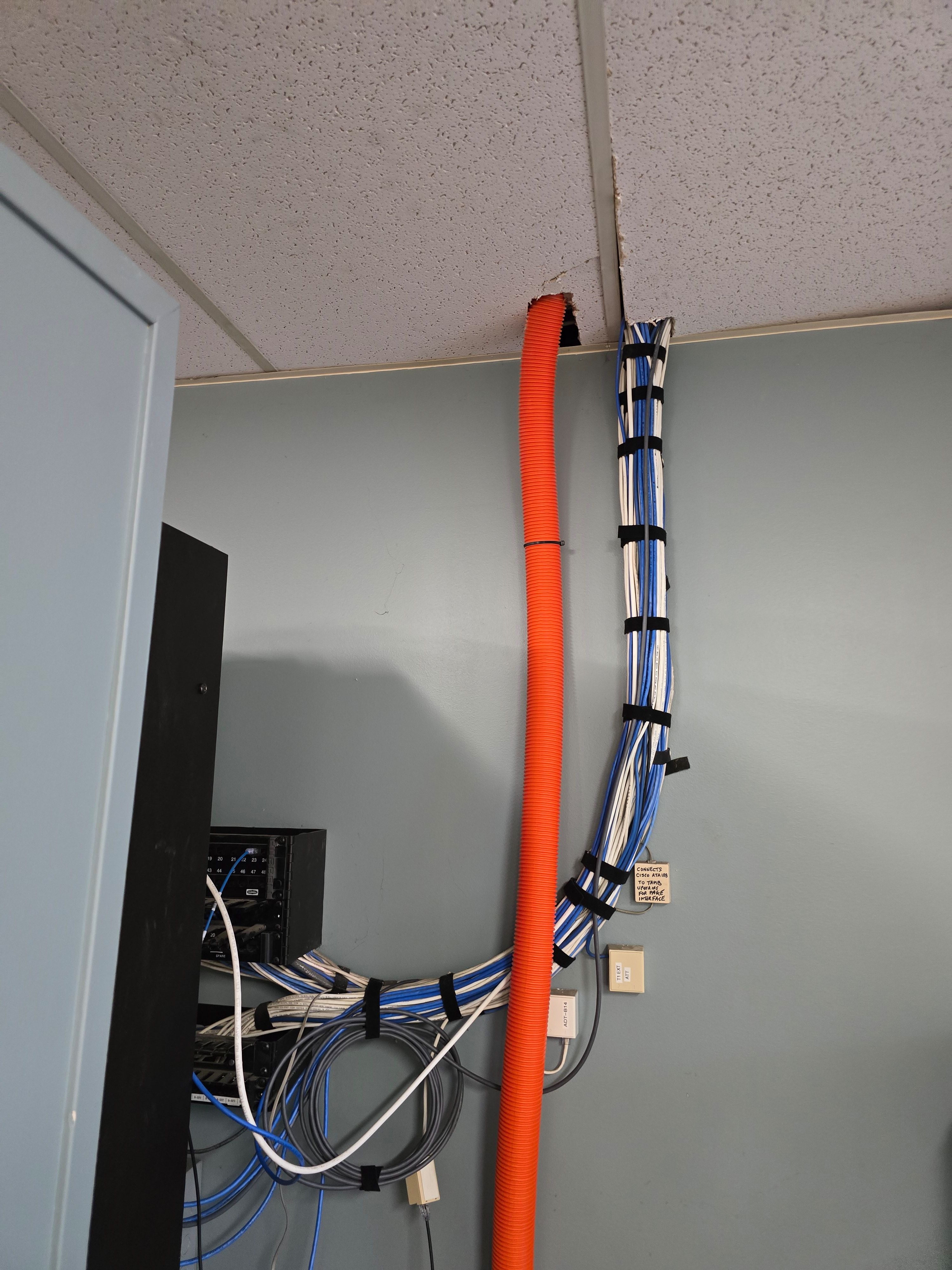 Starlink indoor cabling Albany NY