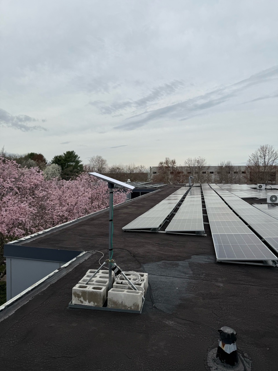 Starlink dish Installation Windsor NJ 