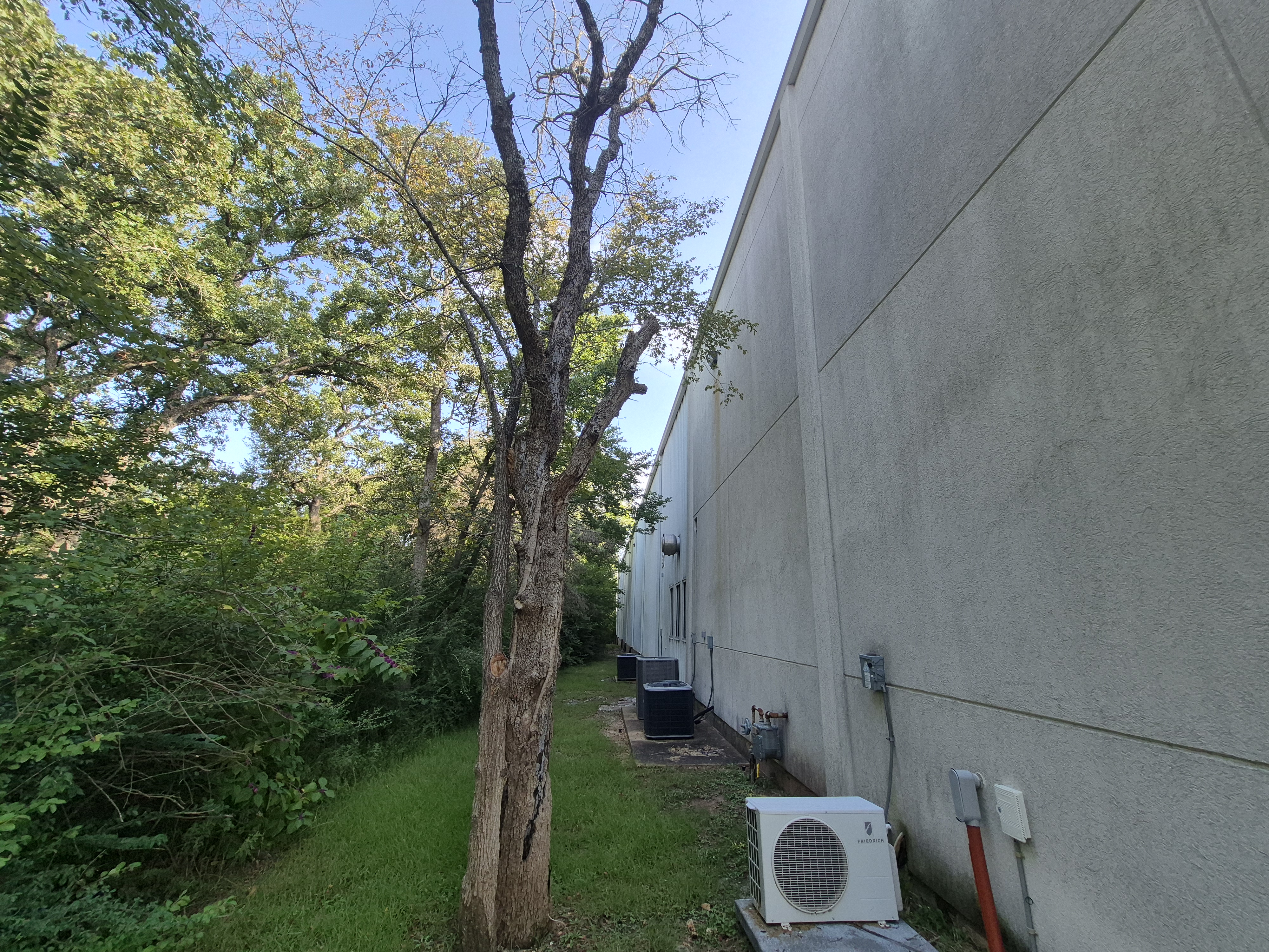 Starlink Cabling services Bryan TX