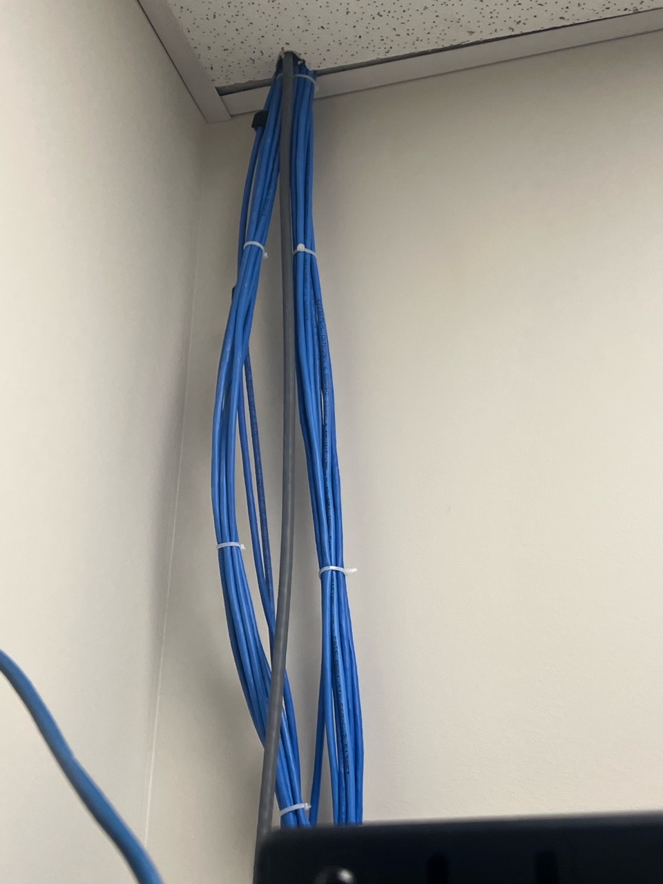 Starlink indoor cable routing
